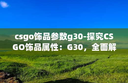 csgo饰品参数g30-探究CSGO饰品属性：G30，全面解析饰品价值指南