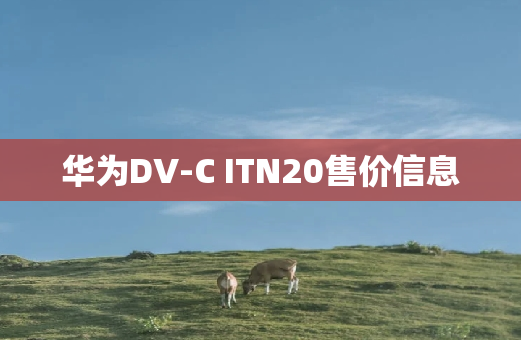 华为DV-C ITN20售价信息