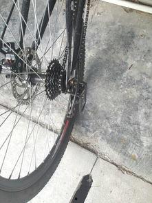 国产自行车后座安装视频