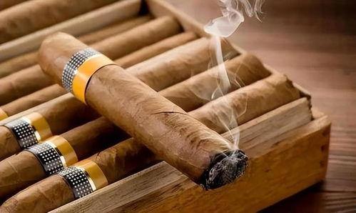 国产烟叶做雪茄好吗视频,体验地道烟草魅力